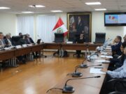 AAP expuso ante Comisión de Transportes del Congreso la necesidad de impulsar la Electromovilidad