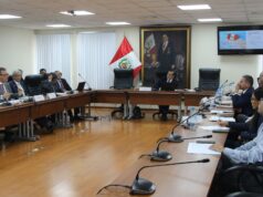 AAP expuso ante Comisión de Transportes del Congreso la necesidad de impulsar la Electromovilidad