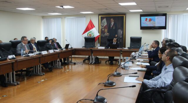 AAP expuso ante Comisión de Transportes del Congreso la necesidad de impulsar la Electromovilidad
