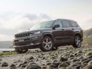 Chiara Pinasco te brinda los mejores consejos para disfrutar al máximo los viajes con mascotas