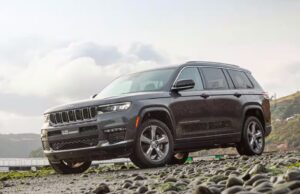 Chiara Pinasco te brinda los mejores consejos para disfrutar al máximo los viajes con mascotas