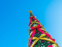 Encendidos de árboles: conoce esta y otras tendencias que mueven a los limeños en Navidad