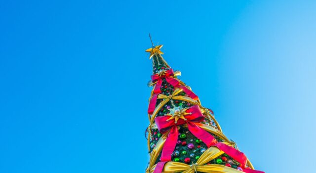 Encendidos de árboles: conoce esta y otras tendencias que mueven a los limeños en Navidad