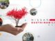 Nissan LATAM Sustainability Week: conduciendo innovaciones sostenibles