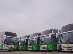 Divemotor refuerza el transporte interprovincial con la entrega de 17 buses Mercedes-Benz a Transportes Palomino