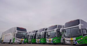 Divemotor refuerza el transporte interprovincial con la entrega de 17 buses Mercedes-Benz a Transportes Palomino