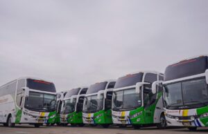 Divemotor refuerza el transporte interprovincial con la entrega de 17 buses Mercedes-Benz a Transportes Palomino