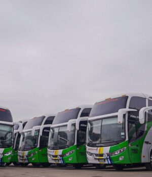 Divemotor refuerza el transporte interprovincial con la entrega de 17 buses Mercedes-Benz a Transportes Palomino