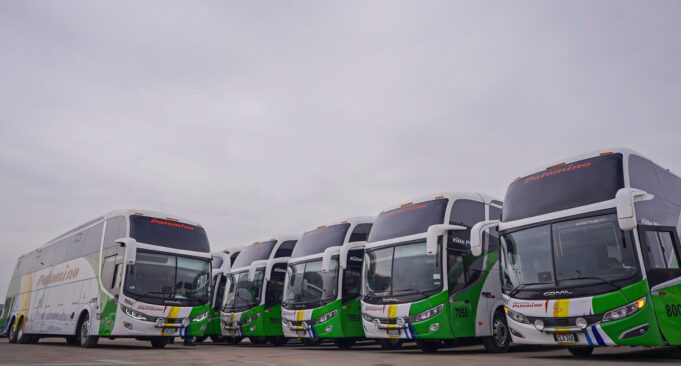 Divemotor refuerza el transporte interprovincial con la entrega de 17 buses Mercedes-Benz a Transportes Palomino
