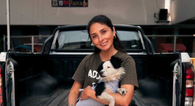 JMC realizan con éxito más de 100 esterilizaciones caninas en su campaña social gratuita en San Juan de Lurigancho