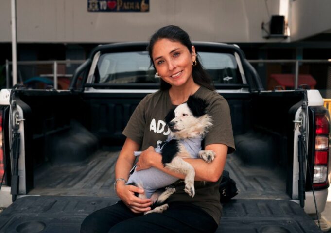 JMC realizan con éxito más de 100 esterilizaciones caninas en su campaña social gratuita en San Juan de Lurigancho