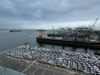 Hyundai fortalece su operación en Perú con la llegada de 2,800 nuevas unidades para atender la demanda del mercado