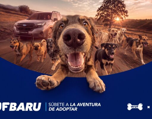 ¿Buscas adoptar un Perro? “Wufbaru” te acerca al próximo integrante de tu familia