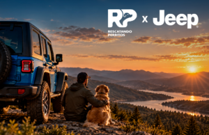 Jeep fortalece Jeeperros con una alianza junto a Rescatando Perritos para impulsar la adopción responsible
